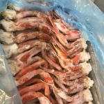 Bumping n jumpin Bbq