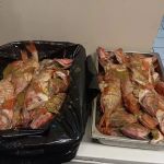 El Tipico Frictufinas