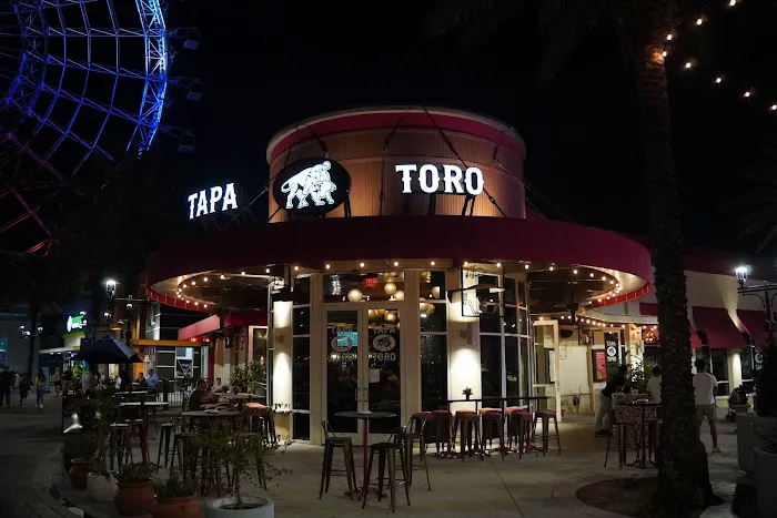 Tapa Toro Picture 1