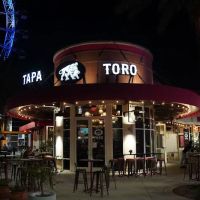 Tapa Toro ico