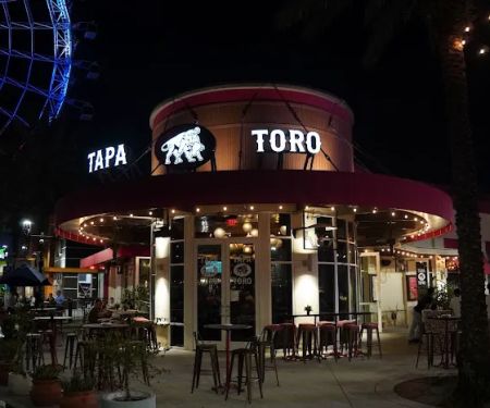 Tapa Toro