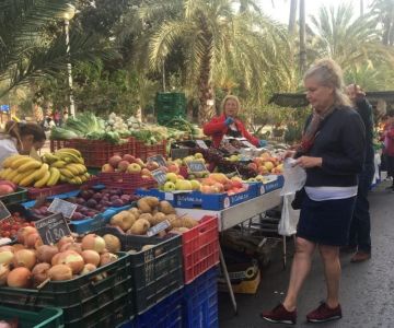 The Best Spanish Food Markets in Alicante for Seasonal Fresh Produce