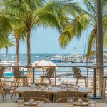 Best Spanish Restaurants in Miami Beach for Gourmet Tapas