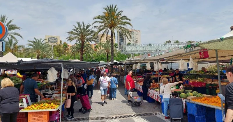 The Best Spanish Food Markets in Alicante for Fresh Seafood and Vegetables