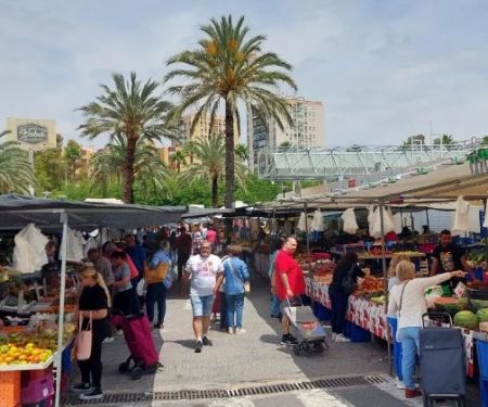 The Best Spanish Food Markets in Alicante for Fresh Seafood and Vegetables