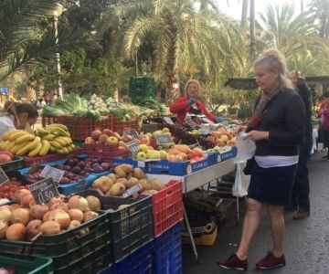 The Best Spanish Food Markets in Alicante